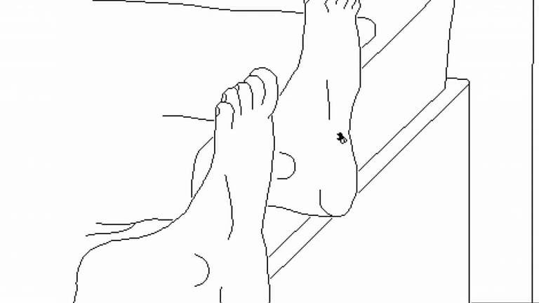 1 Trai Nghiem Cuoc Song Cua Mot Chu Ruoi Trong Time Flies Trải Nghiệm Cuộc Sống Của Một Chú Ruồi Trong &Quot;Time Flies&Quot;